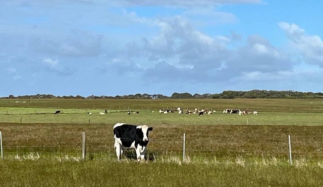 Yanakie Happy Farm Stay is the ideal destination for your Wilson prom holiday.