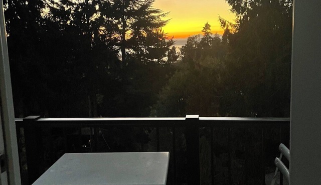 Yard, patio, hot tub and high quality, well-designed interior with great light.