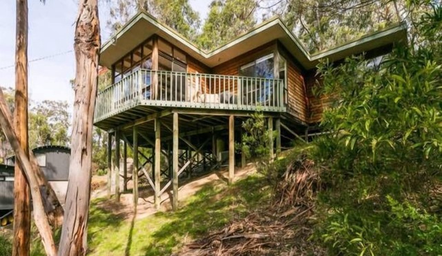 Yaringa - Retreat in the trees