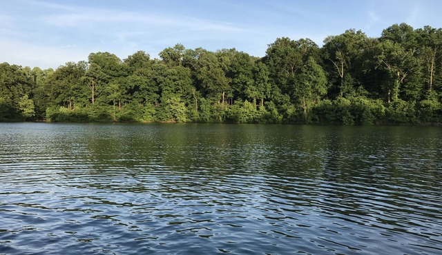 Year-round 3BR/2BA Lake front - Nolin State Park (1mile) -Mammoth Cave (30min)