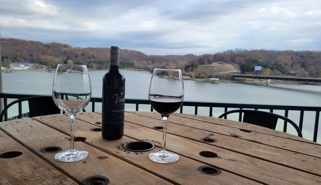 Year Round Relaxation with Beautiful Lake View for Creating Great Memories!