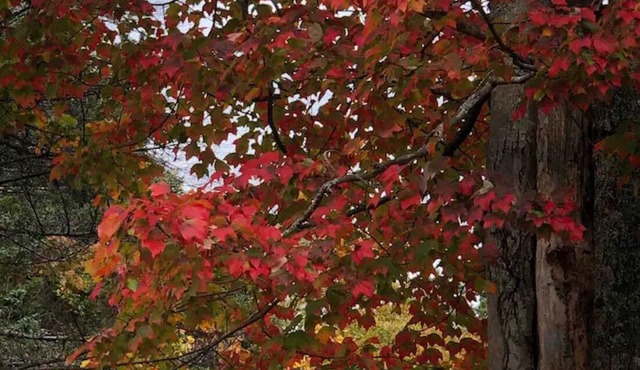 Year- round waterfront 2-Bedroom in Shediac