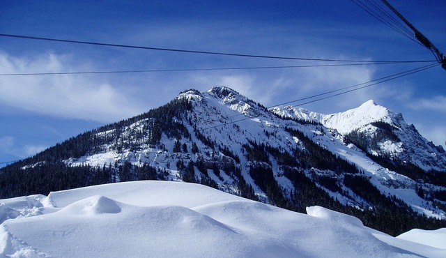 Yellowstone Park Mountain Retreat