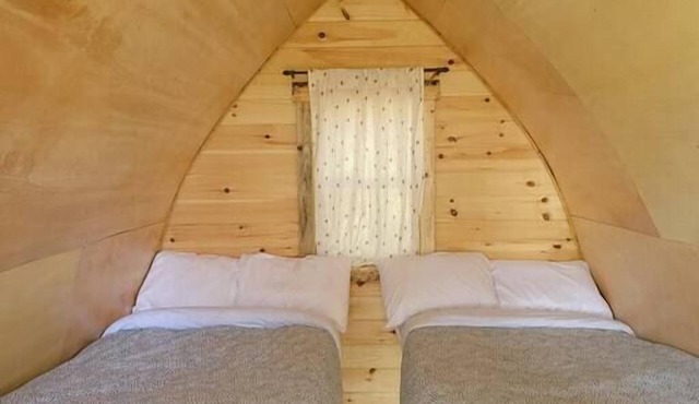 Yellow Birch Camping Pod