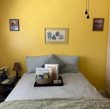 Yellow Cactus Oasis