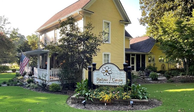 Yellow Daisy Bed and Breakfast