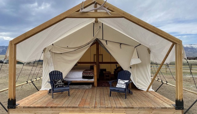 Yellowstone Dreamin Camp