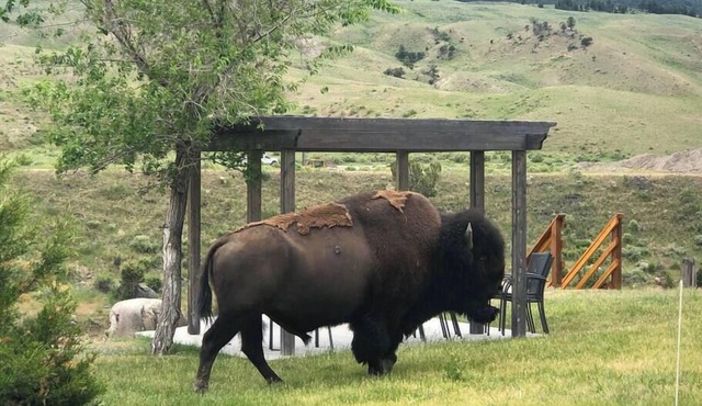 Yellowstone Riverside 3 Bedrooms 2.5 Bathroom Home with Panoramic Park Views