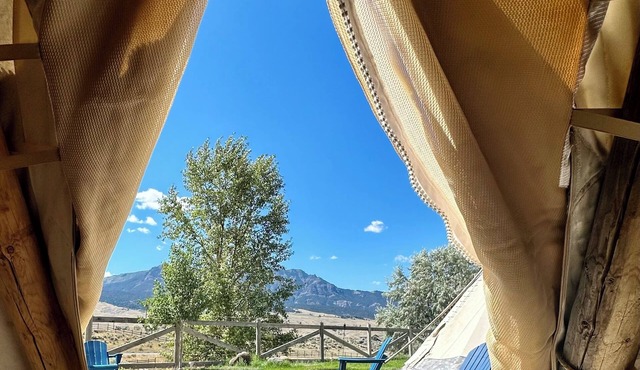 Yellowstone Tipis