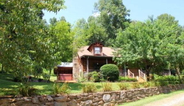 Yes, There Are Mini Donkeys! Peaceful Mountain Cabin Retreat