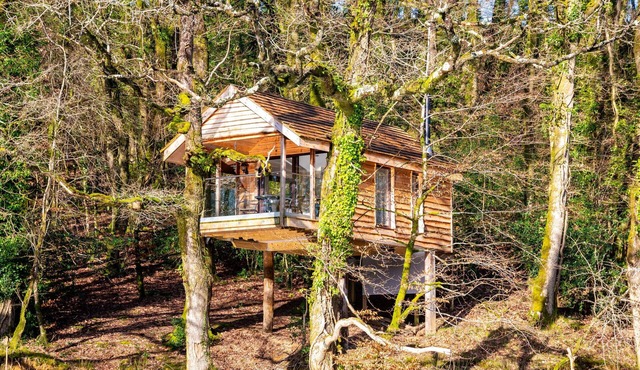 Yeworthy Eco-Treehouse