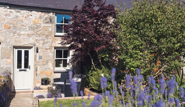 YNATA, pet friendly, character holiday cottage in Trefor