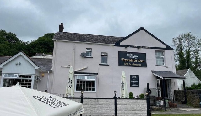 Ynyscedwyn Arms