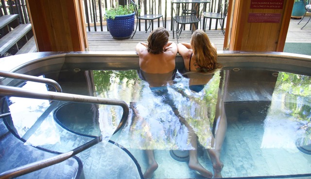 Yosemite Bug Rustic Mountain Resort