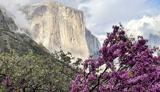 Yosemite Mountain Lodge