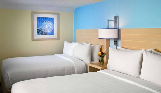 You Found it! 4 Comfortable Units, Free Breakfast, Free Parking, Onsite Pool