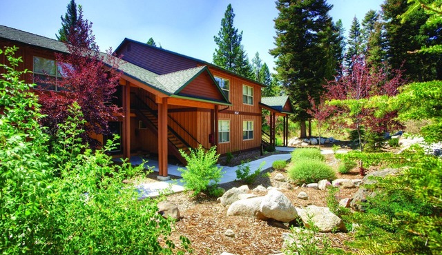 You have to see it to believe it !