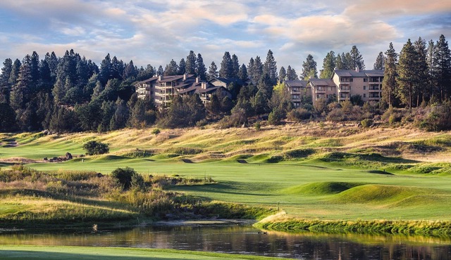 You will keep coming back for more!