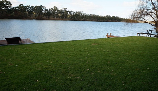 Younghusband Rivertime - Riverfront across the ferry from Mannum