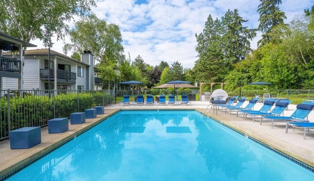 Your Adventure Starts Here!