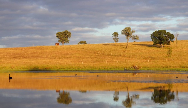 Your Brisbane Valley adventure starts here