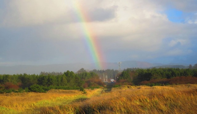 Your Cabin at the Beach - Vintage Long Beach Cabin