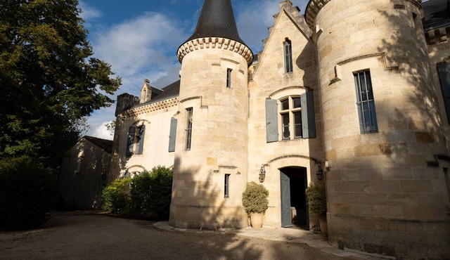 Your charming castle in the vineyards -