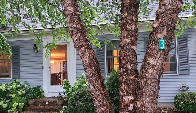 Your Classic Cape Awaits - with AC!