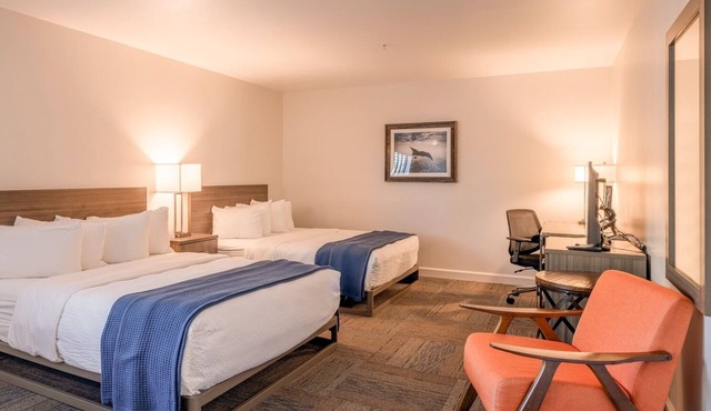 Your Coastal Hideaway: Accessible Two Queen with Wet Bar