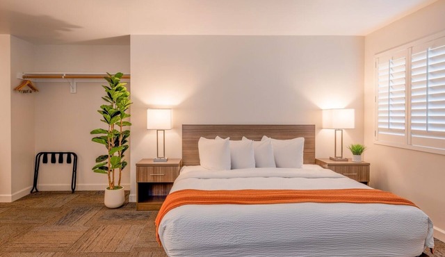 Your Coastal Hideaway: King Room