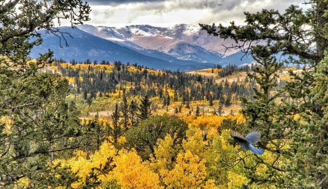 Your Colorado Mountain Getaway!