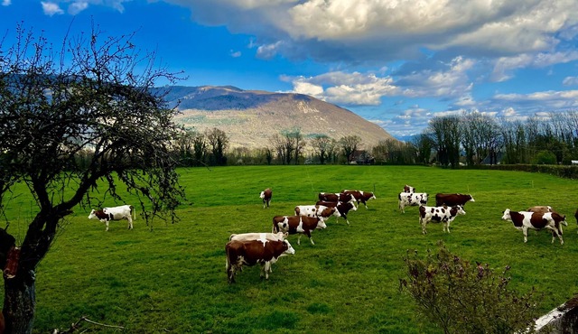 Your escape to peace and quiet.