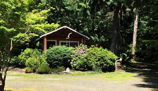 Your Forest Hideaway on Beautiful Harstine Island