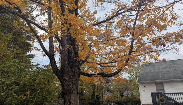 Your groups Bloomington adventure starts here