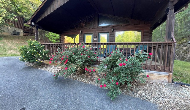 Your Happily Ever After Starts Here! Private resort cabin near Dollywood!