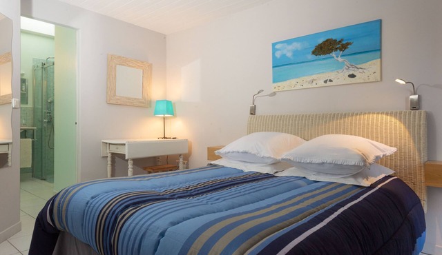 YOUR HOLIDAY ZEN in a cocoon GREAT COMFORT in AIGUES MORTES 5 kms from the sea