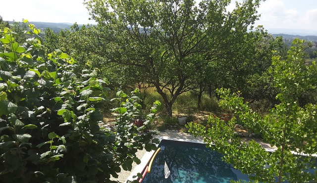 Your holidays in the Luberon
