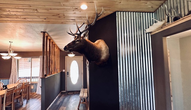 Your home away from home mountain cabin