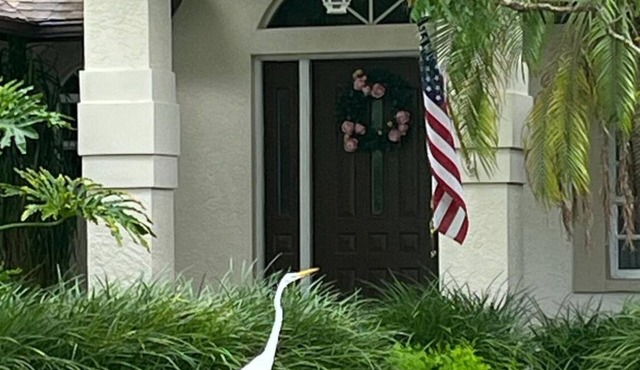 Your Home Away from Home 3+2+Den nGreat deal, excellent reviews