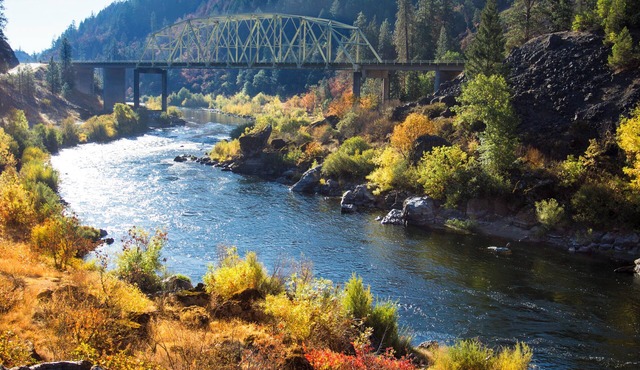 Your Home Away From Home! 4 Amazing Units, Close to Rogue River. Free Parking!