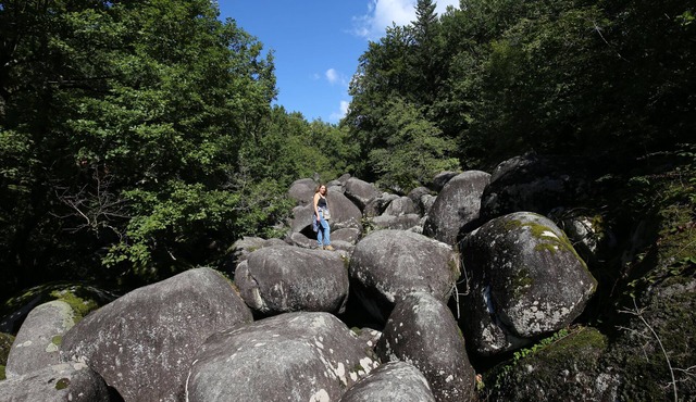 Your home for a real vacation