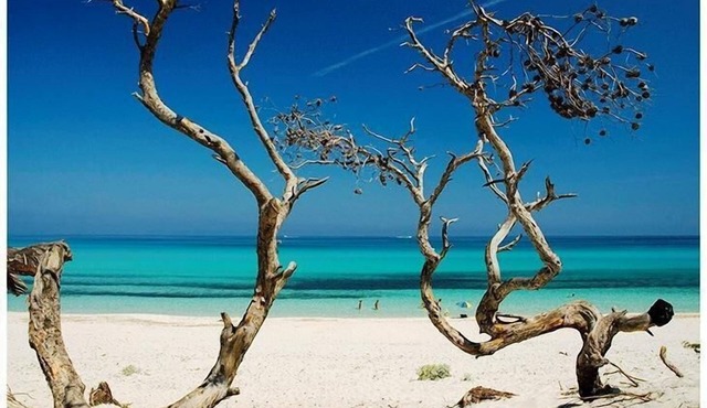 Your home with swimming pool 10 minutes from Saint Florent!