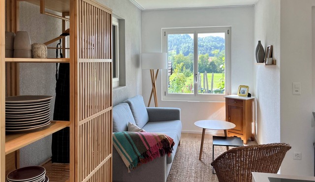 Your own 2BR house: free parking, quiet, Thun 15', any Swiss attraction in 2h!