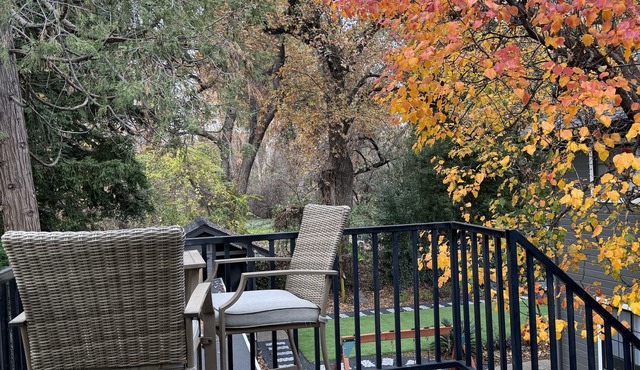 Your own modern treehouse overlooking Bidwell Park