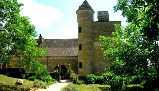 Your own Petit Chateau near Sarlat, private pool and tower with battlements!