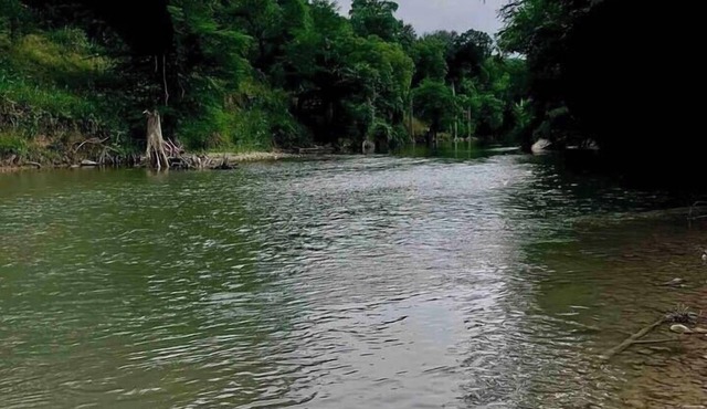 Your Own Piece of The Guadalupe! Long Stay Discoun
