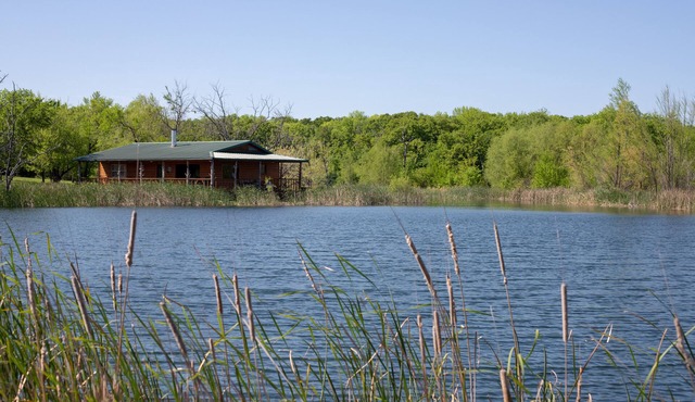 Your own private lakefront log cabin on a 1155 acre ranch.