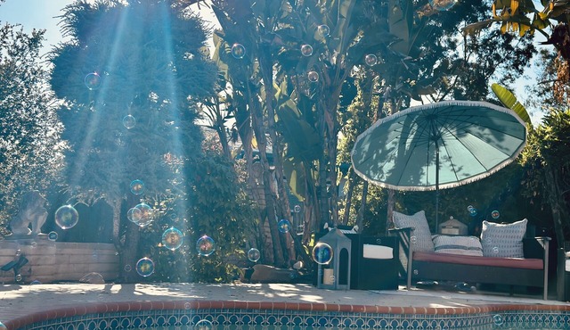 Your own private San Diego resort awaits you; a family-friendly paradise!