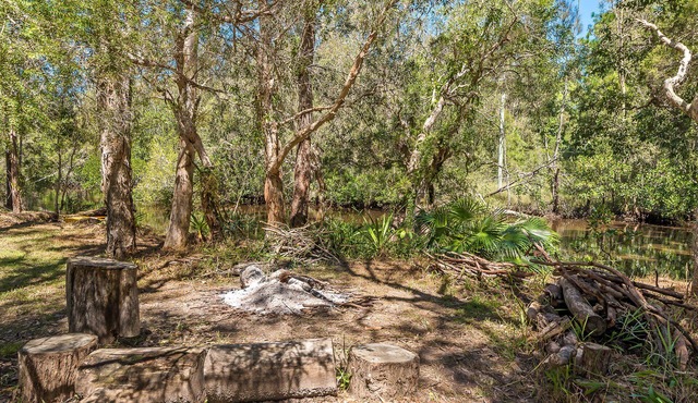 Your own stretch of wilderness river only 15 mins from Hastings St, incl kayaks