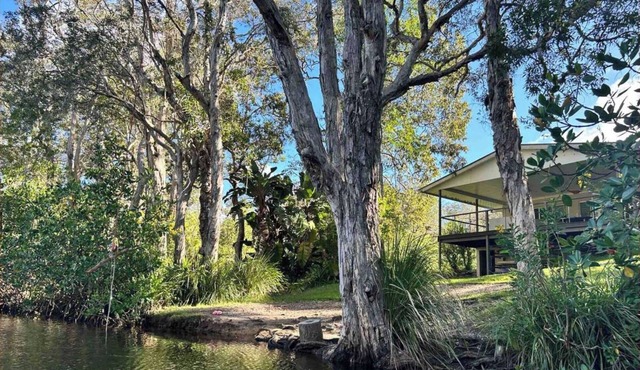 Your own stretch of wilderness river only 15 mins from Hastings St, incl kayaks